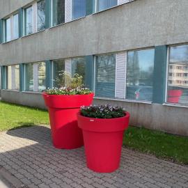 Extravase Põlvas